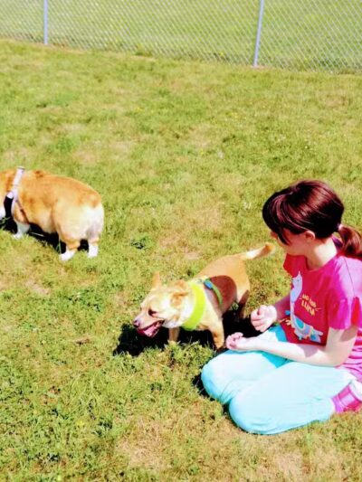 Escanaba Dog Park - Escanaba, MI