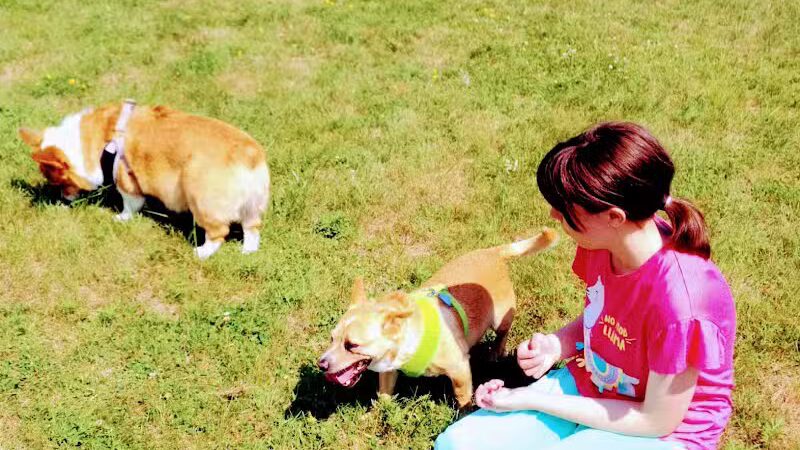 Escanaba Dog Park - Escanaba, MI