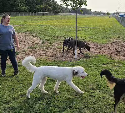 Escanaba Dog Park - Escanaba, MI