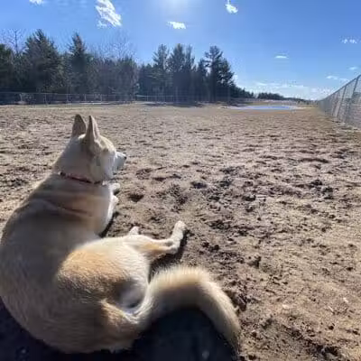 Escanaba Dog Park - Escanaba, MI