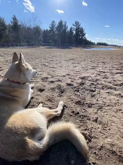Escanaba Dog Park - Escanaba, MI
