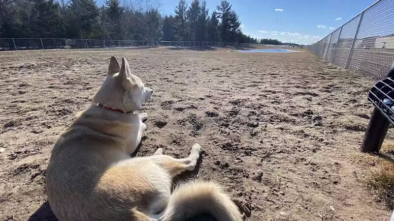 Escanaba Dog Park - Escanaba, MI
