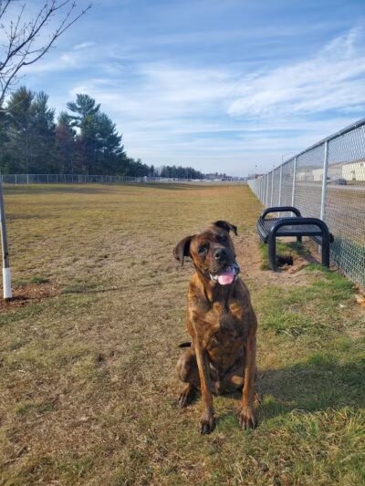 Escanaba Dog Park - Escanaba, MI