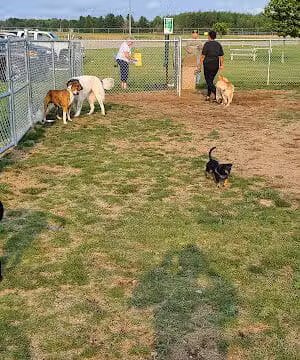 Escanaba Dog Park - Escanaba, MI