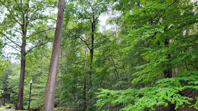 Grover Cleveland Park - Essex Fells, NJ