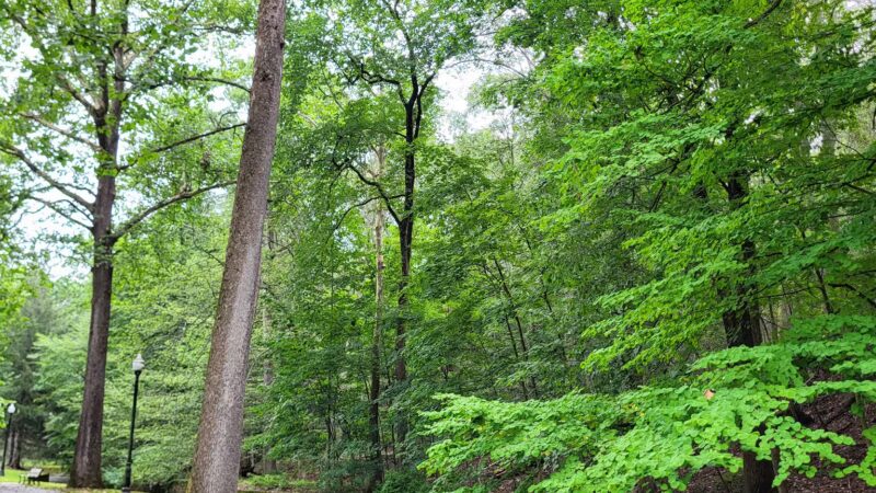 Grover Cleveland Park - Essex Fells, NJ