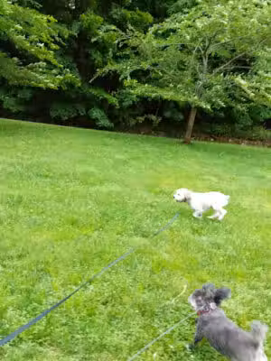 Grover Cleveland Park - Essex Fells, NJ