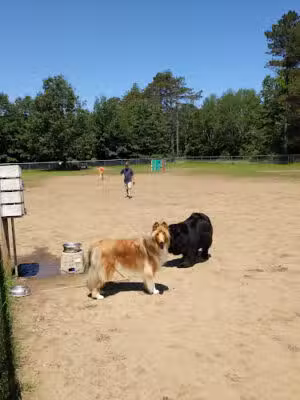 Essex Dog Park - Essex Junction, VT