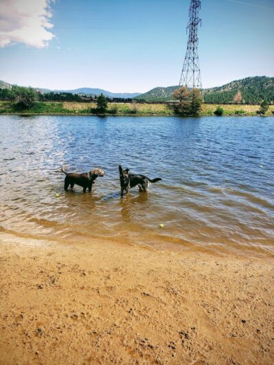 Estes Park Dog Park - Estes Park, CO