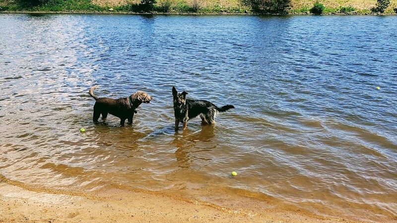 Estes Park Dog Park - Estes Park, CO