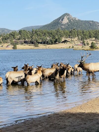 Estes Park Dog Park - Estes Park, CO