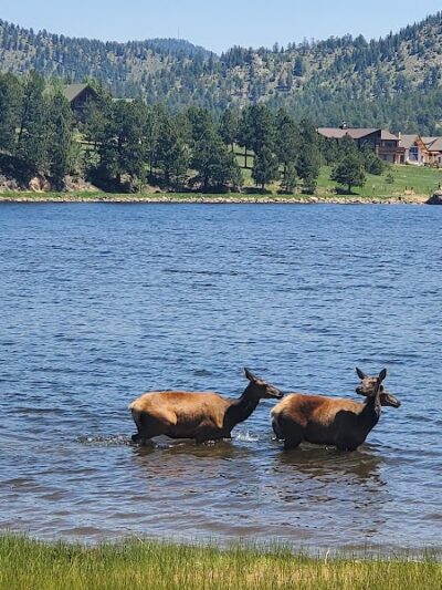Estes Park Dog Park - Estes Park, CO