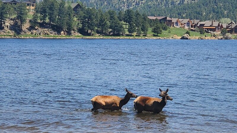 Estes Park Dog Park - Estes Park, CO