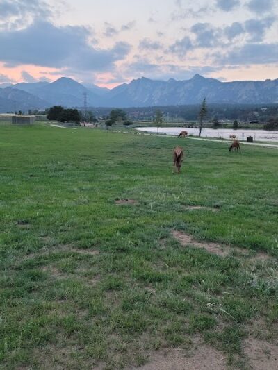 Estes Park Dog Park - Estes Park, CO