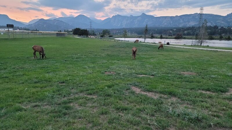 Estes Park Dog Park - Estes Park, CO