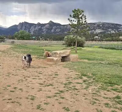 Estes Park Dog Park - Estes Park, CO