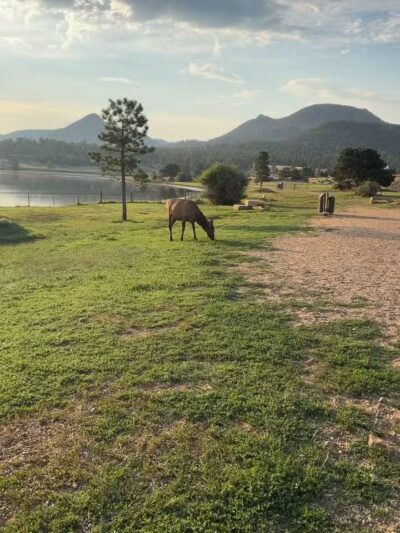 Estes Park Dog Park - Estes Park, CO