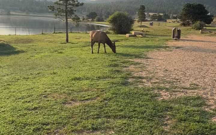 Estes Park Dog Park - Estes Park, CO