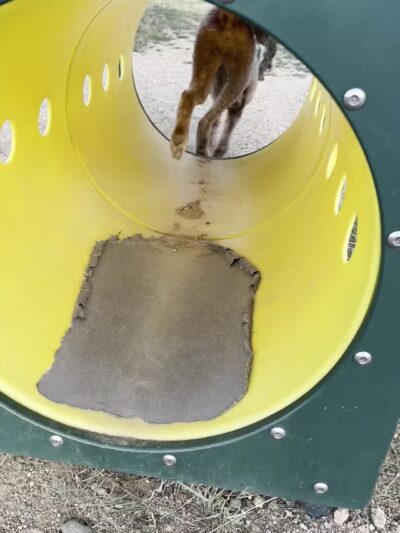 Estes Park Dog Park - Estes Park, CO