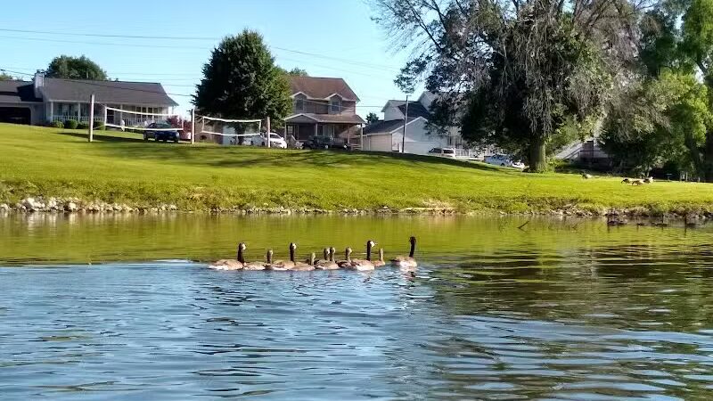 Eureka Dog Park - Eureka,