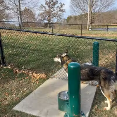 Eureka Dog Park - Eureka,