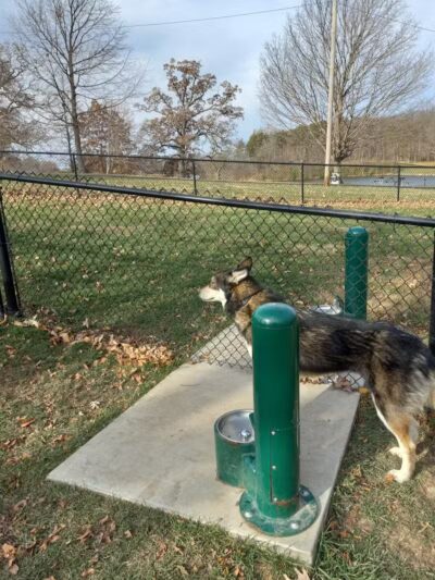 Eureka Dog Park - Eureka,