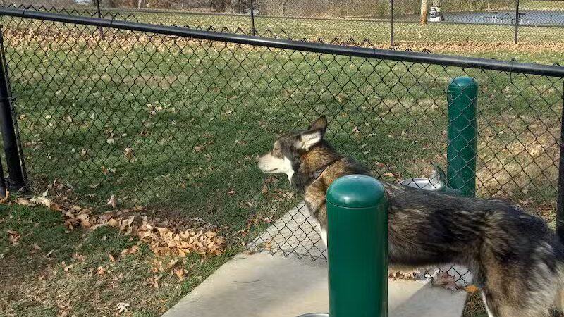 Eureka Dog Park - Eureka,