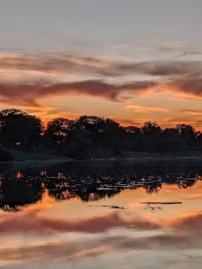 Eureka Dog Park - Eureka,