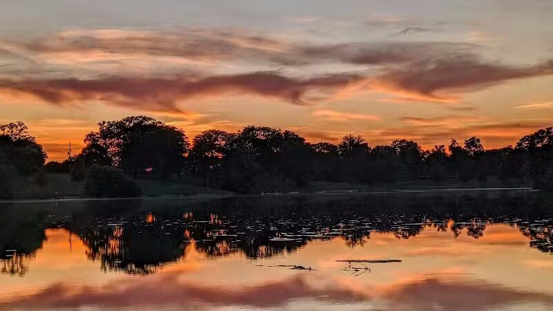 Eureka Dog Park - Eureka,