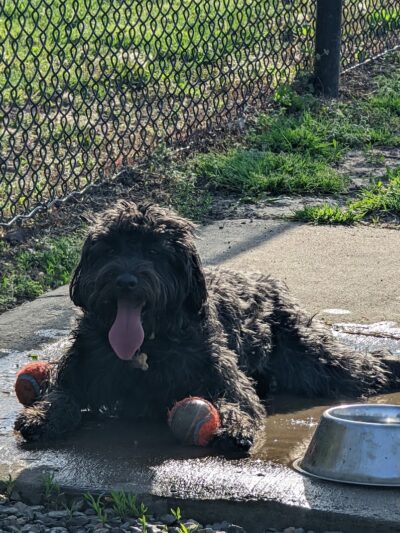 Berry Park - Eureka, MO