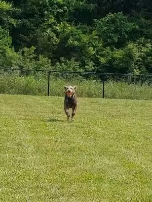 Berry Park - Eureka, MO