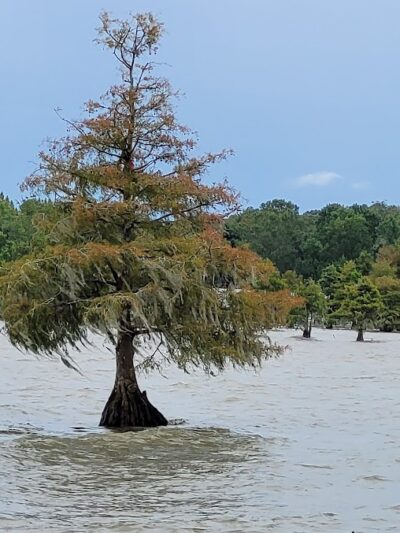 Indian Bluff Recreation Park - Eutawville, SC