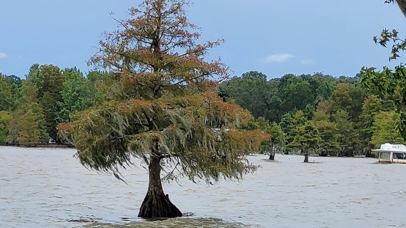 Indian Bluff Recreation Park - Eutawville, SC