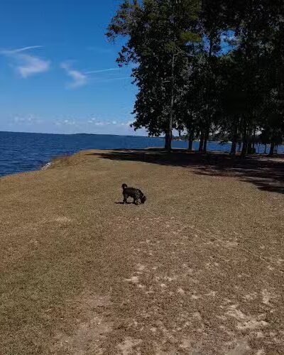 Indian Bluff Recreation Park - Eutawville, SC