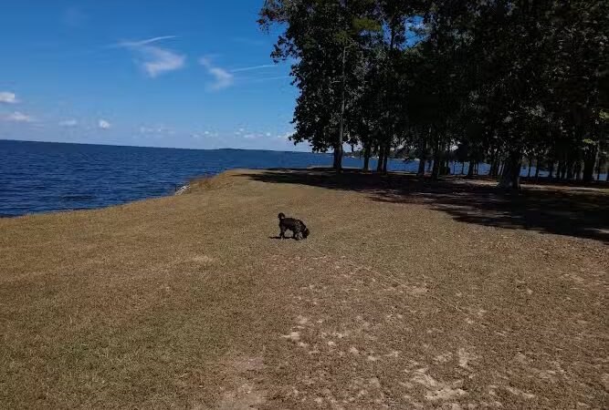 Indian Bluff Recreation Park - Eutawville, SC