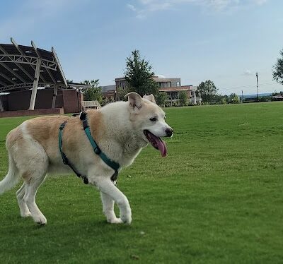 Dog Park at Evans Town Center Park - Evans, GA
