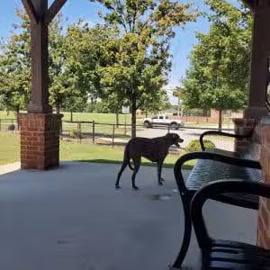 Dog Park at Evans Town Center Park - Evans, GA