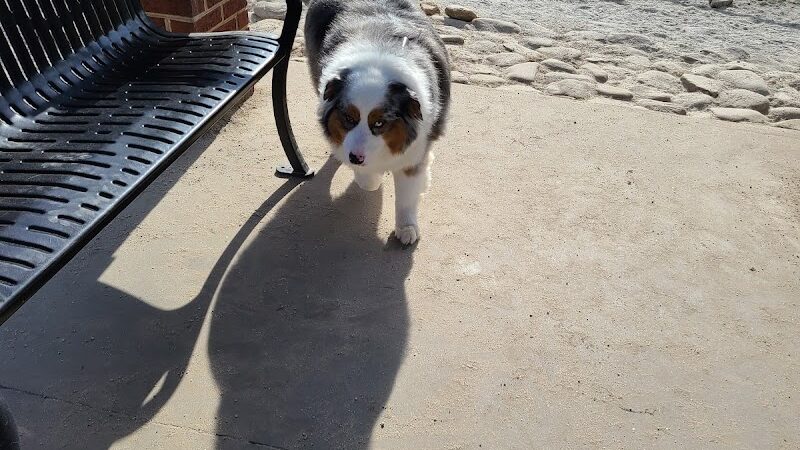 Dog Park at Evans Town Center Park - Evans, GA