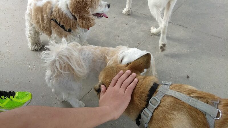 Dog Park at Evans Town Center Park - Evans, GA