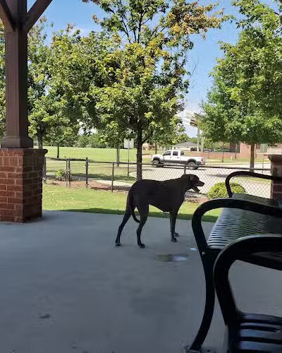 Dog Park at Evans Town Center Park - Evans, GA