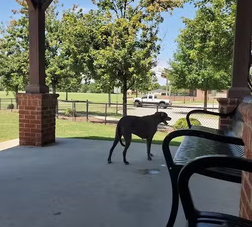 Dog Park at Evans Town Center Park - Evans, GA