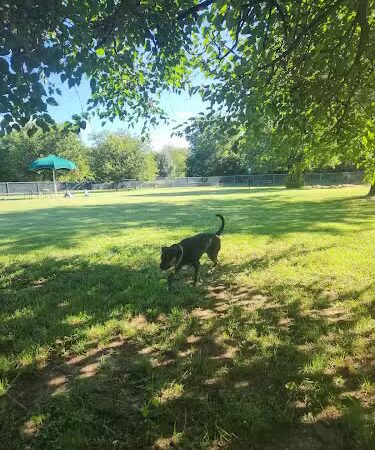 Central Bark Dog Park (Members Only) - Evansville, IN