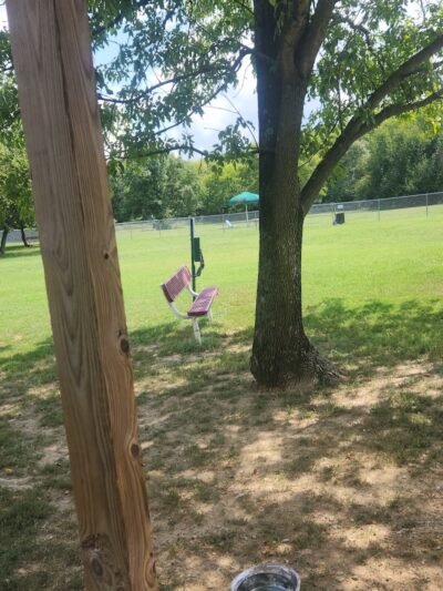 Central Bark Dog Park (Members Only) - Evansville, IN