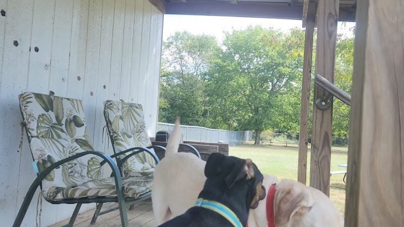 Central Bark Dog Park (Members Only) - Evansville, IN