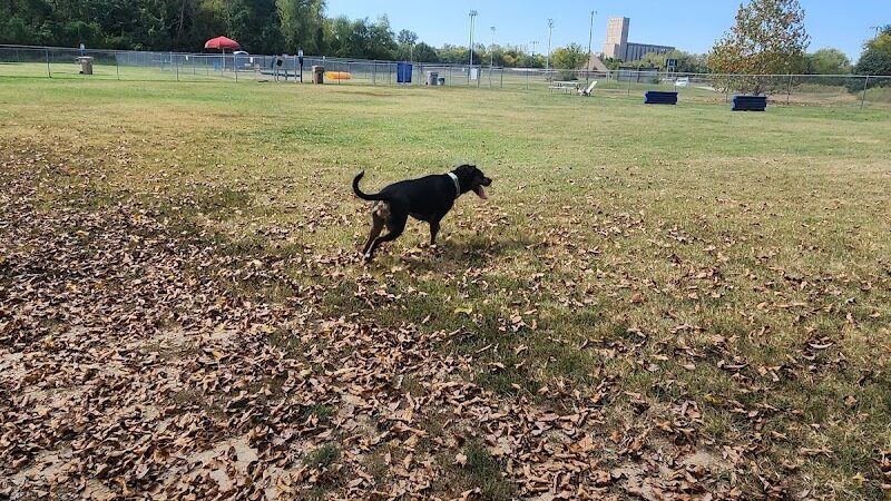 Central Bark Dog Park (Members Only) - Evansville, IN