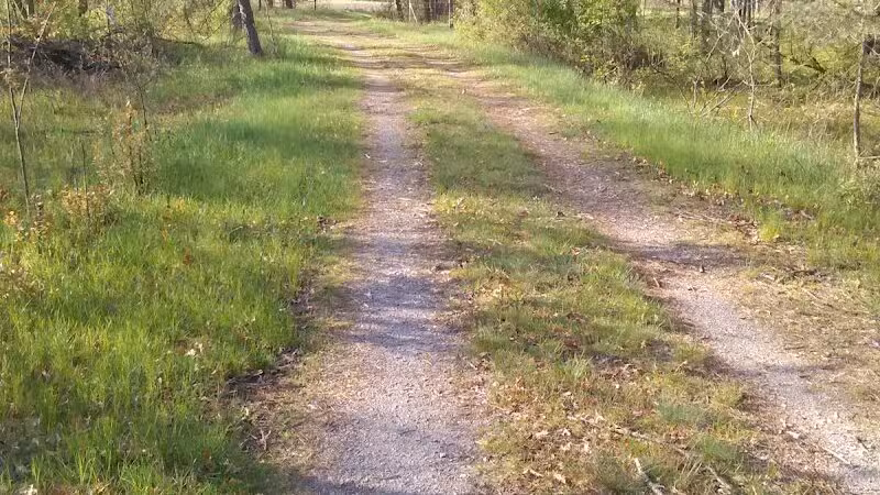 Evart City Walking Trail - Evart,