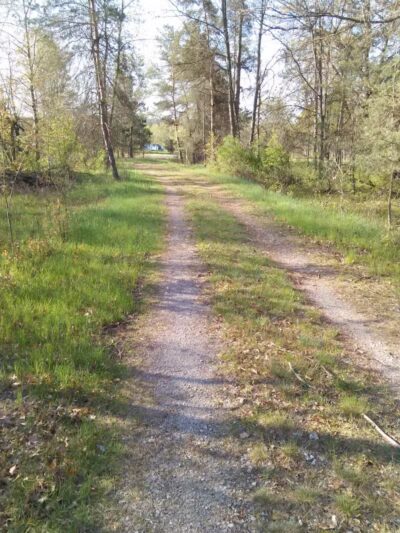 Evart City Walking Trail - Evart,