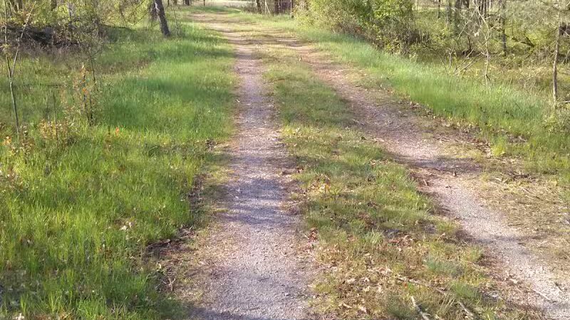 Evart City Walking Trail - Evart,