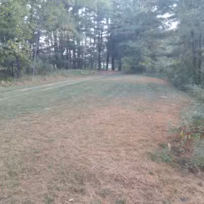 Evart City Walking Trail - Evart,