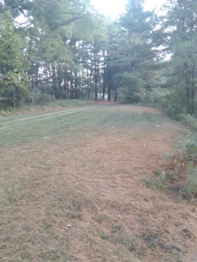 Evart City Walking Trail - Evart,